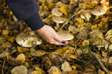 Similar image 21104331