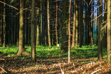 Similar image 21104332