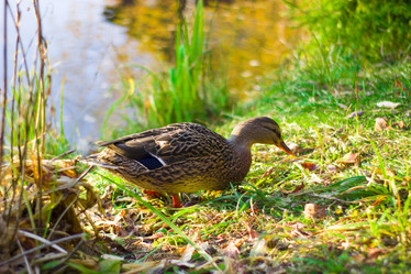 Similar image 21104333