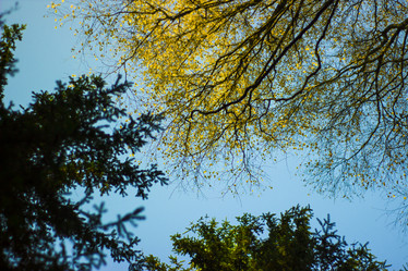 Similar image 21104334