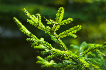 Similar image 21104335