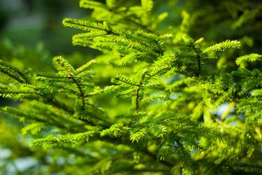 Similar image 21104336