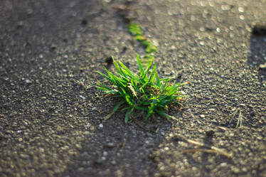 Similar image 21103015