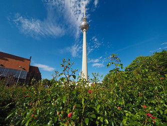 Similar image 21116943