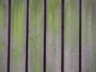 Similar image 21116955