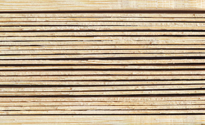 Similar image 21116693