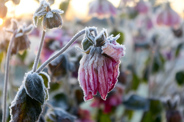 Similar image 21103146