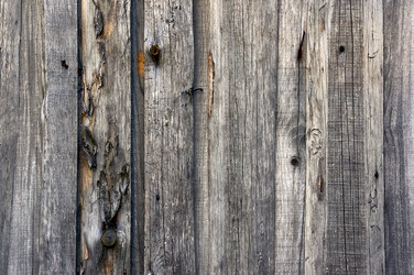 Similar image 21103148