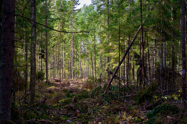 Similar image 21103149