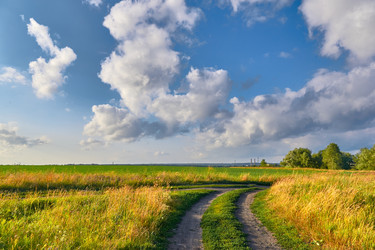 Similar image 21103151