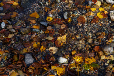 Similar image 21105214