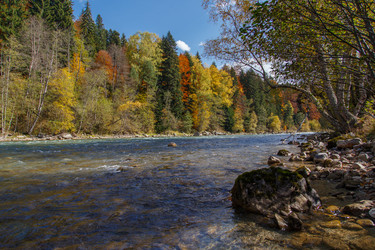 Similar image 21105215