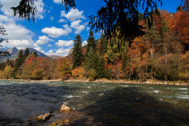 Similar image 21105217