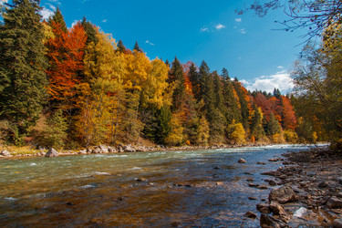 Similar image 21105223