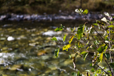 Similar image 21105253