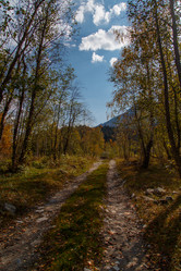 Similar image 21105256