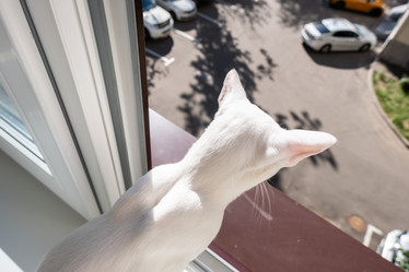 Similar image 21104930