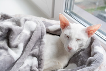 Similar image 21104936