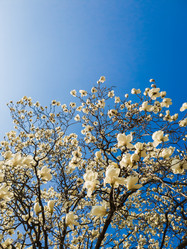 Similar image 21104938