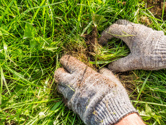 Similar image 21104941