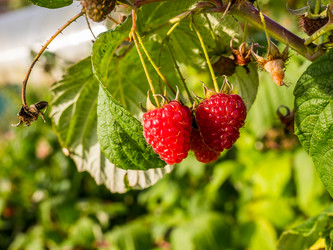 Similar image 21104942