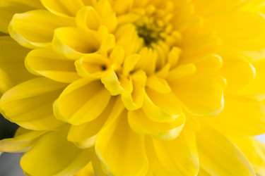 Similar image 21104949