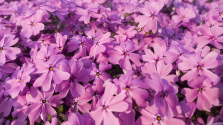 Similar image 21104952