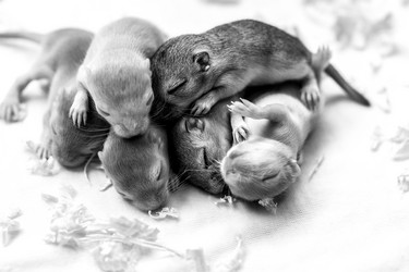 Similar image 21104968