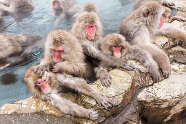 Similar image 21104969