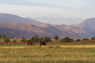 Similar image 21104987