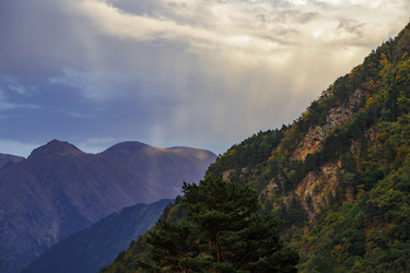 Similar image 21106705