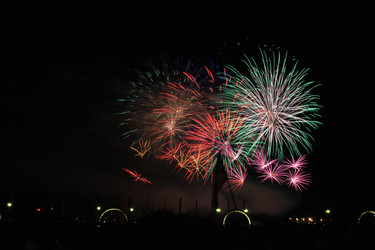 Similar image 21106719