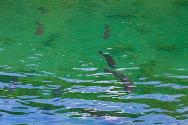 Similar image 21106891