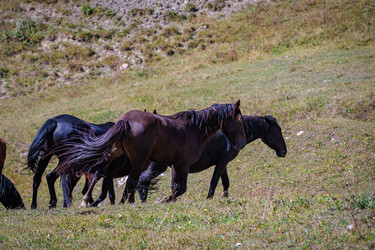 Similar image 21106915