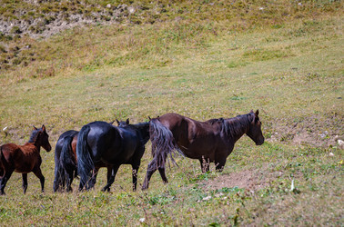 Similar image 21106916