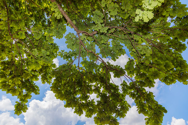 Similar image 21106736