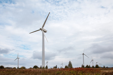 Similar image 21107719