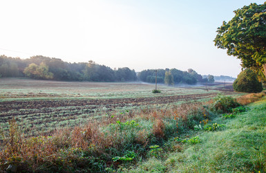 Similar image 21107727