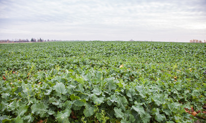 Similar image 21107733