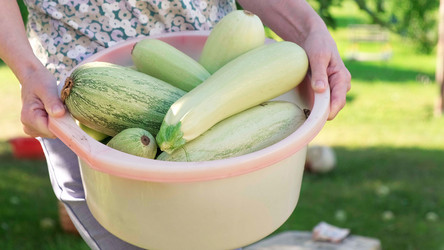 Similar image 21103689