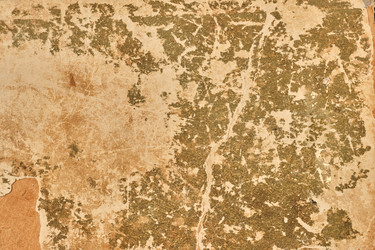 Similar image 21103730