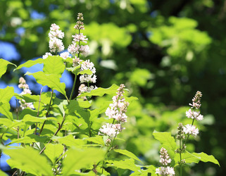 Similar image 21118628