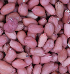 Similar image 21123713