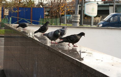 Similar image 21123723