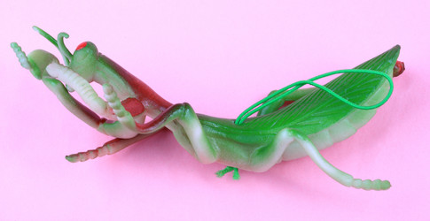 Similar image 21123832