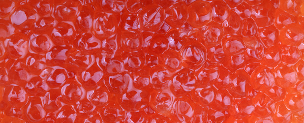 Similar image 21127675