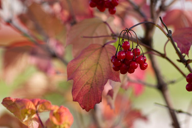 Similar image 21103016