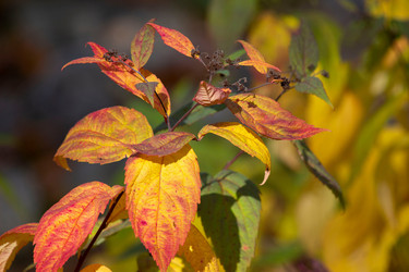 Similar image 21103017