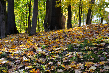 Similar image 21103018