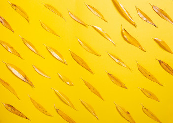 Similar image 21103555